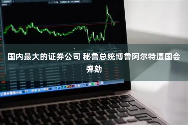 国内最大的证券公司 秘鲁总统博鲁阿尔特遭国会弹劾